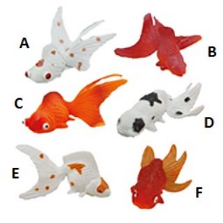 Obrázek z Zlaté rybky plast 7cm 6druhů (144) 